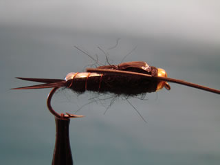 Bead Head Black Rubber Stonefly (6-8)
